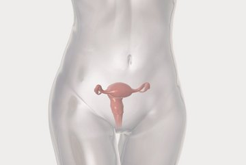 biolitec_KV_Gynecology_LQ